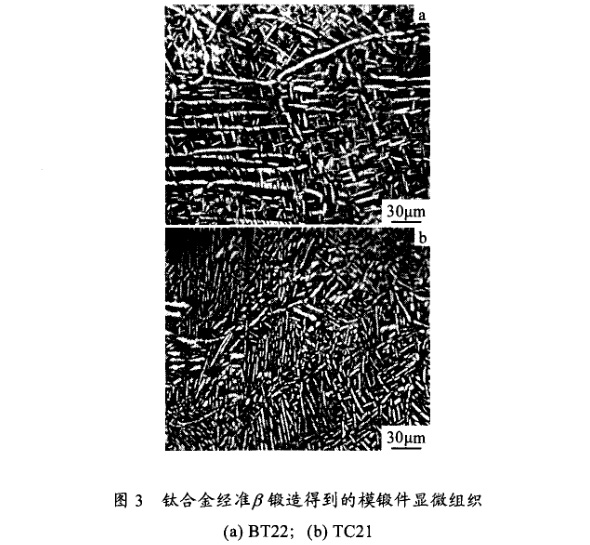 鈦合金準β鍛造得到的模鍛件顯微組織 鈦合金準β鍛造得到的模鍛件顯微組織